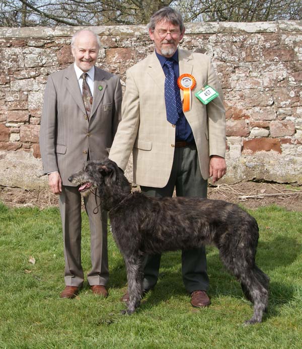 Best Puppies Hound Association of Scotland 2010